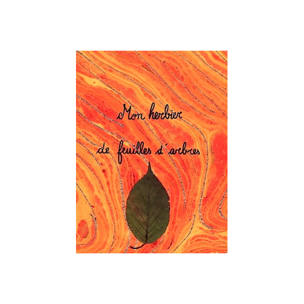 ♣ C’est l’automne ! Préparez vos herbiers !