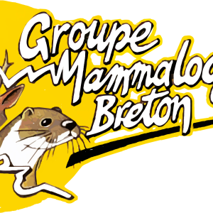 Logo GMB