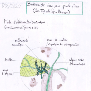 Biodiv gtte eau_2020_04 copie